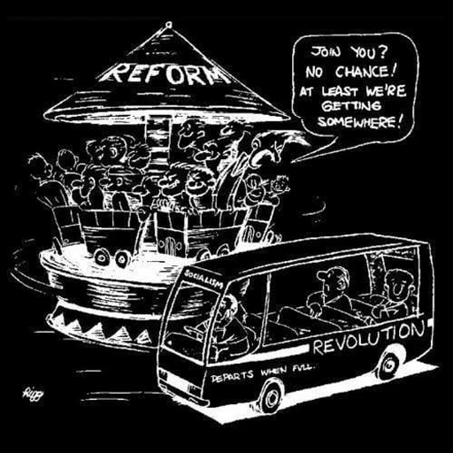 Reformism and Leftist Infighting, The Future Martyrs and Renegades of DSA